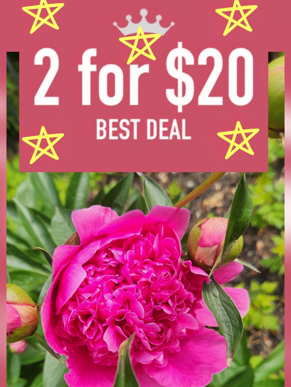 2 For $20 Sale On Selected Items. Bundle And Send Me An Offer